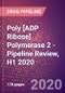 Poly [ADP Ribose] Polymerase 2 - Pipeline Review, H1 2020 - Product Thumbnail Image